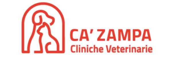 logo cazampa