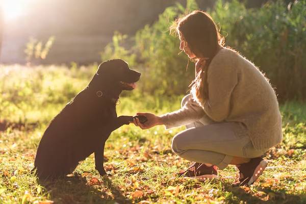 persona che trascorre del tempo con il proprio cane in campagna